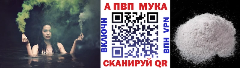 закладки  Пестово  kraken как войти  A PVP СК 