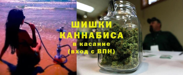 твердый Дмитровск