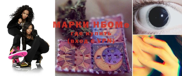 крисы Шали