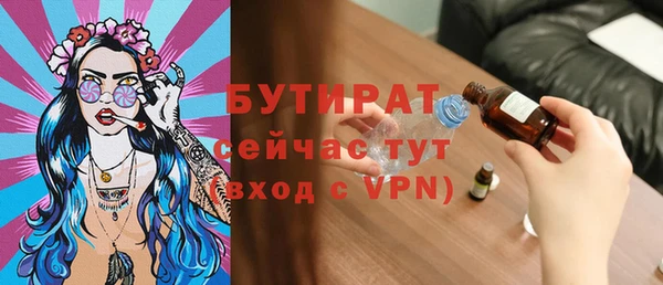 твердый Дмитровск