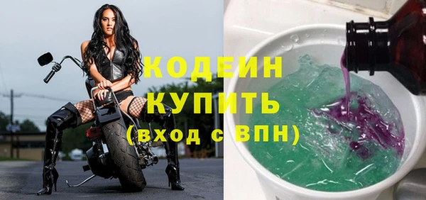 твердый Дмитровск